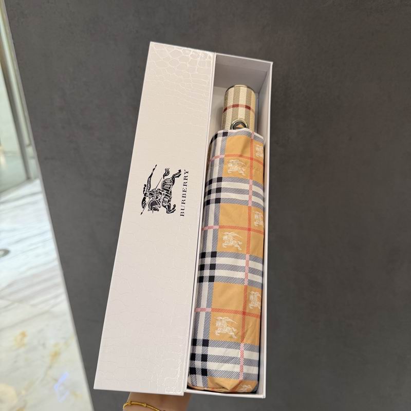 Burberry Umbrella (10)