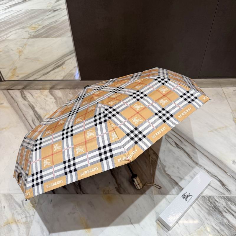 Burberry Umbrella (17)