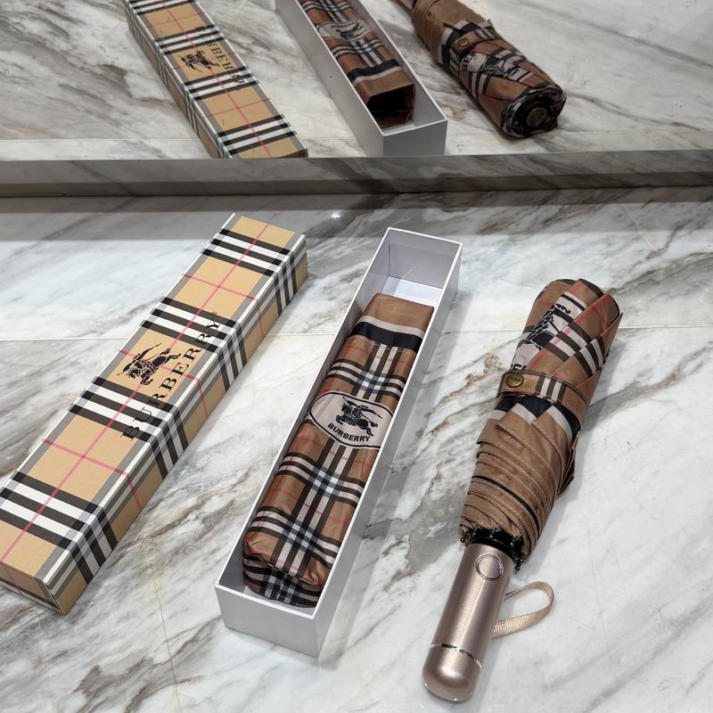 Burberry Umbrella (21)