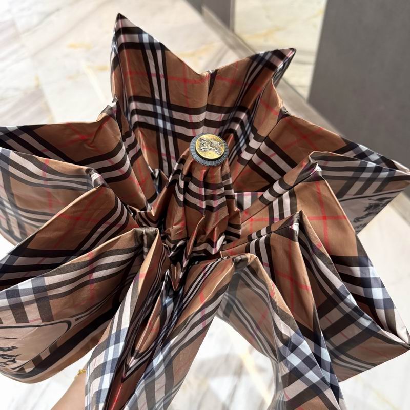 Burberry Umbrella (22)