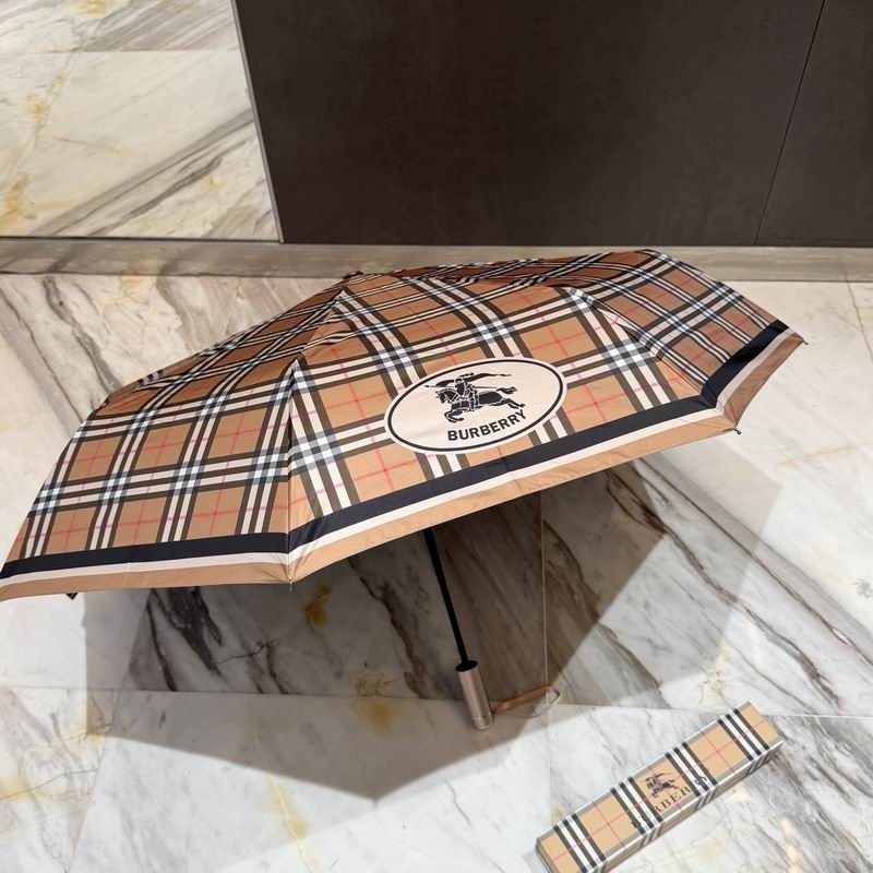 Burberry Umbrella (25)