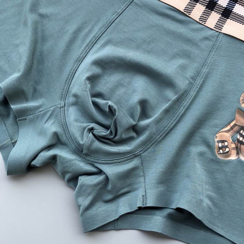 Burberry boxer  L-3XL 25 (3)