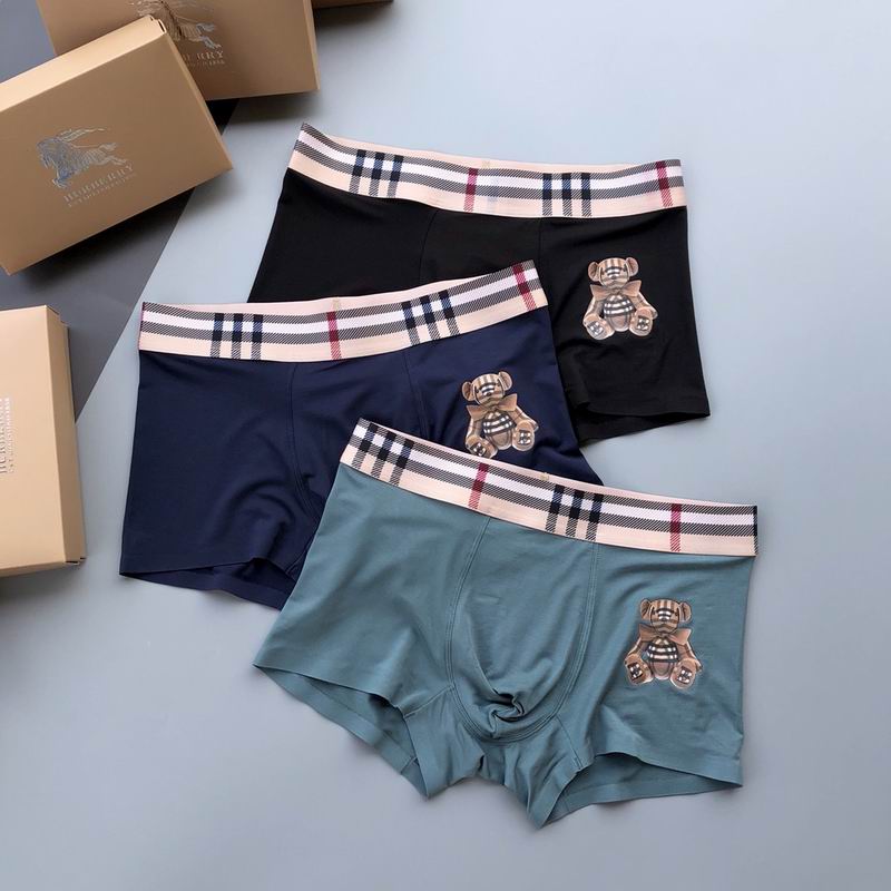 Burberry boxer  L-3XL 25 (6)