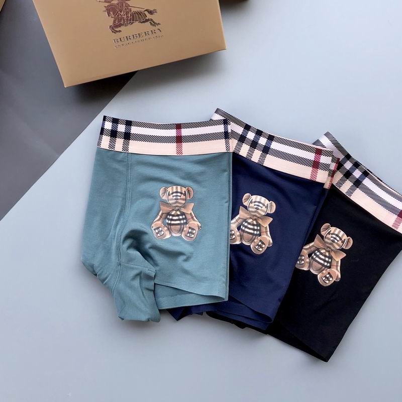 Burberry boxer  L-3XL 25 (9)