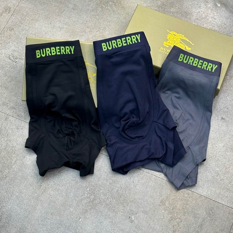 Burberry boxer L-3XL 62 (2)