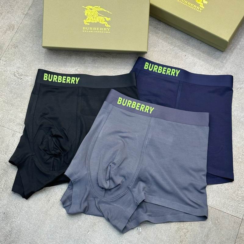 Burberry boxer L-3XL 62 (3)