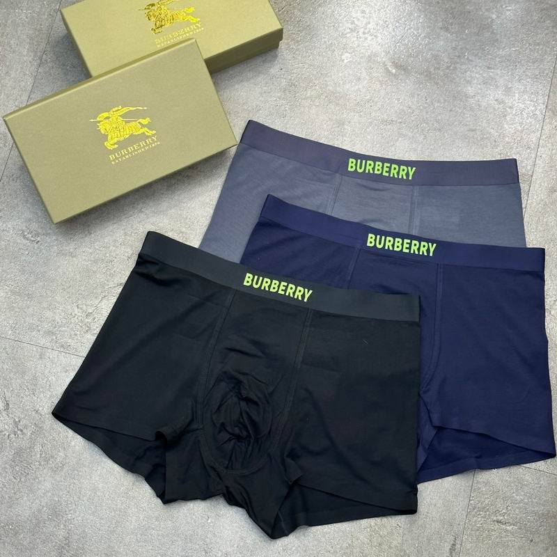 Burberry boxer L-3XL 62 (5)