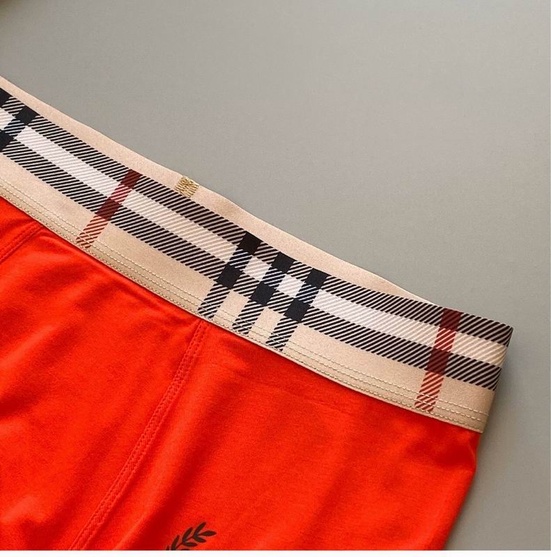 Burberry boxer L-3XL 65 (2)