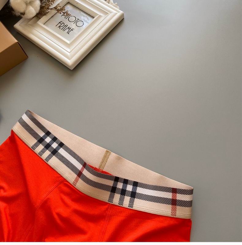 Burberry boxer L-3XL 65 (3)