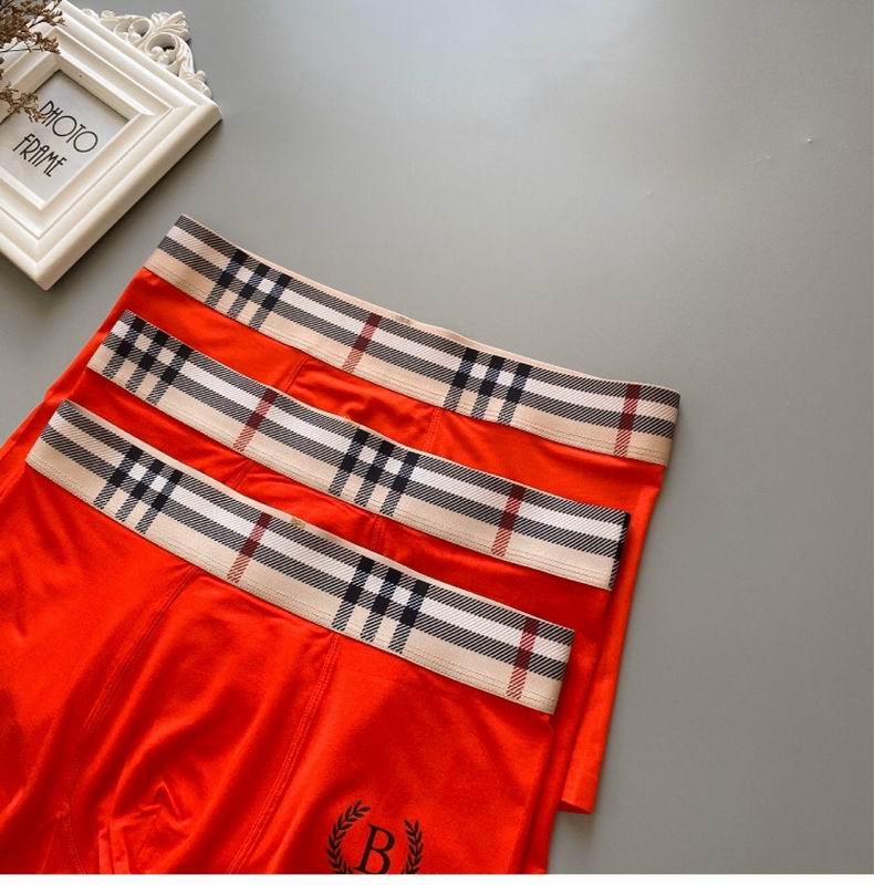 Burberry boxer L-3XL 65 (5)