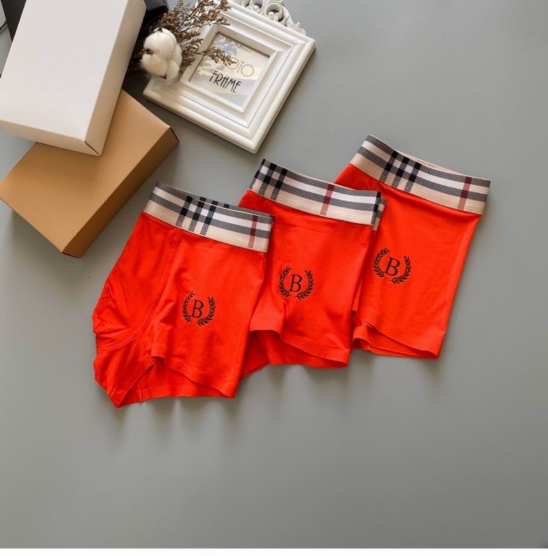 Burberry boxer L-3XL 65 (6)