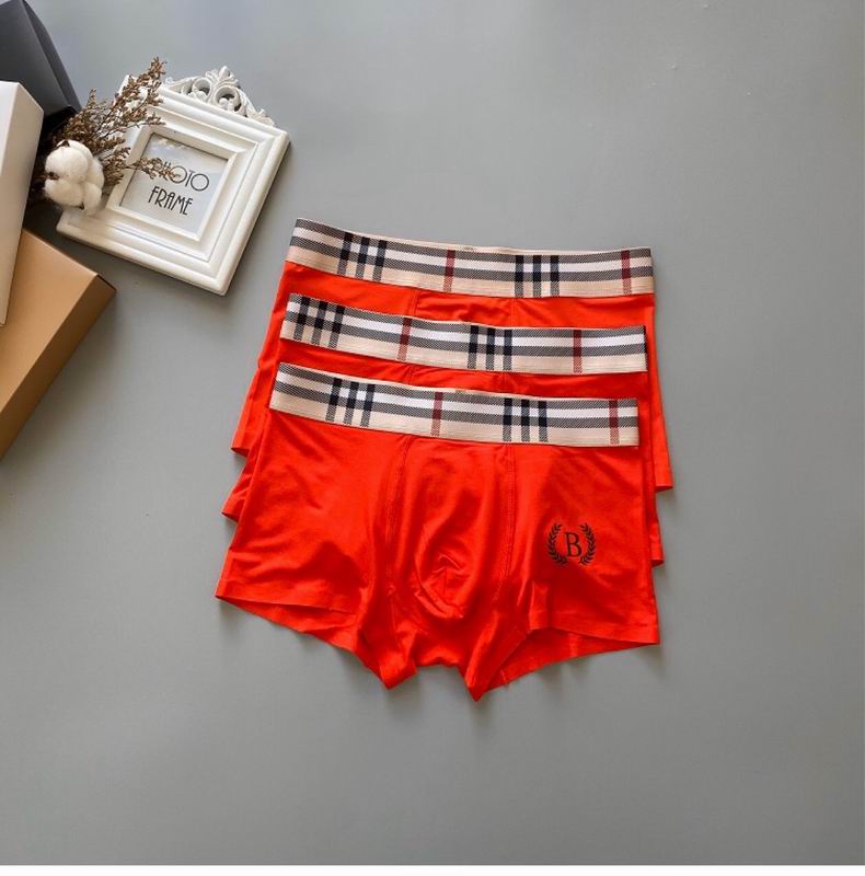Burberry boxer L-3XL 65 (8)