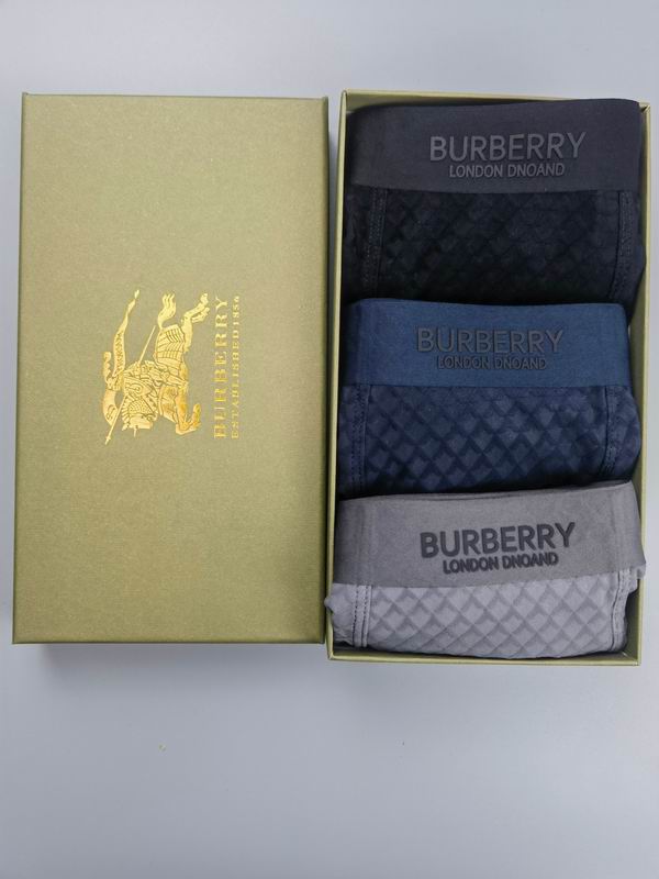 Burberry boxer L-4XL 07 (2)