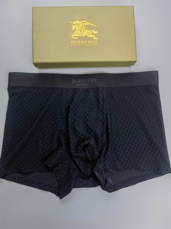Burberry boxer L-4XL 07 (6)