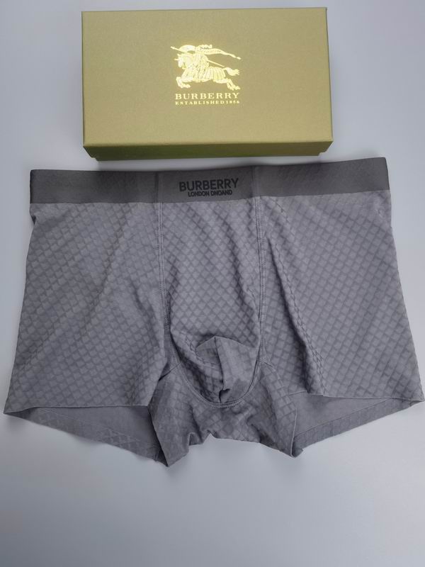 Burberry boxer L-4XL 09 (4)