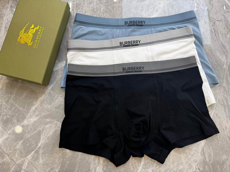 Burberry boxer L-4XL 18 (2)