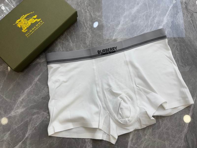 Burberry boxer L-4XL 18 (3)