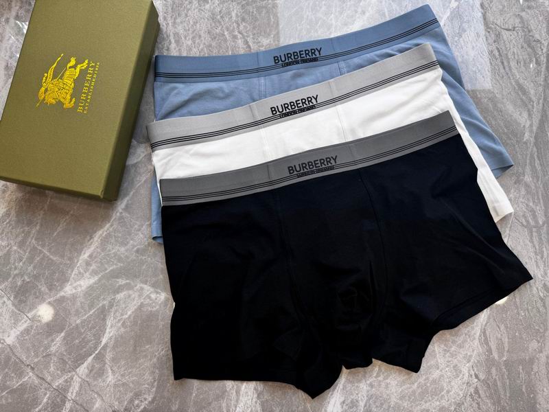 Burberry boxer L-4XL 18 (4)