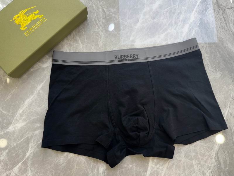 Burberry boxer L-4XL 18 (5)