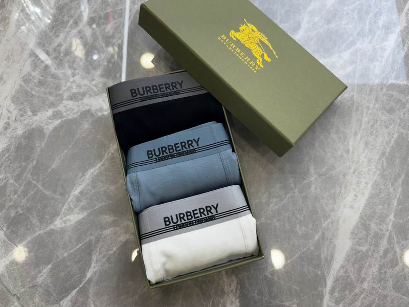 Burberry boxer L-4XL 18 (6)
