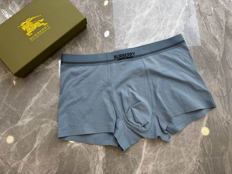 Burberry boxer L-4XL 18 (7)