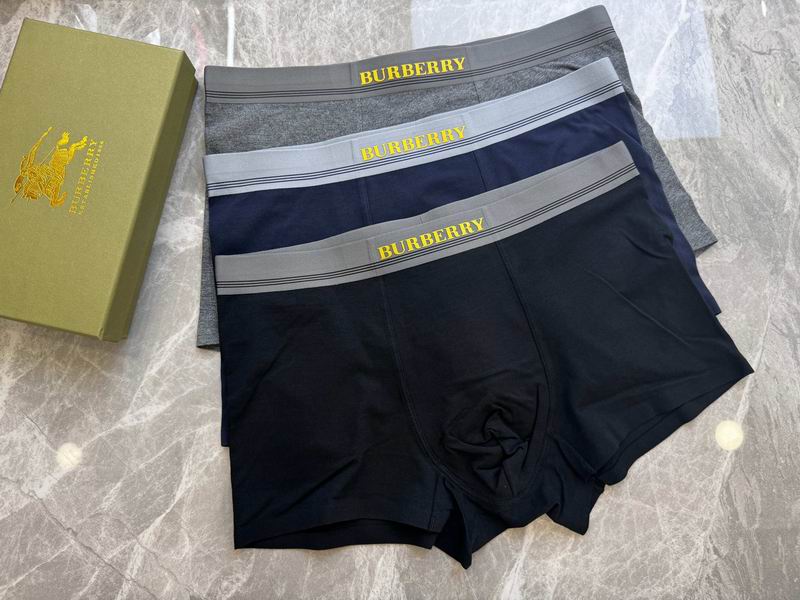 Burberry boxer L-4XL 20 (1)