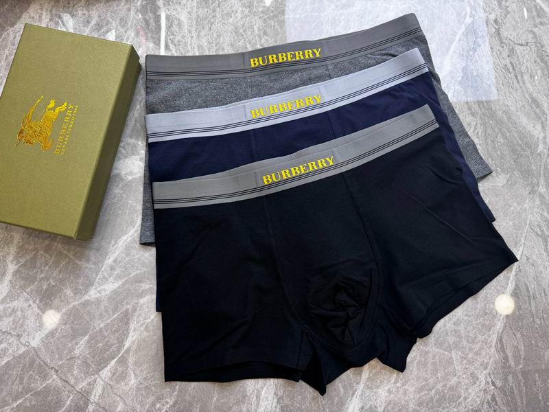 Burberry boxer L-4XL 20 (2)