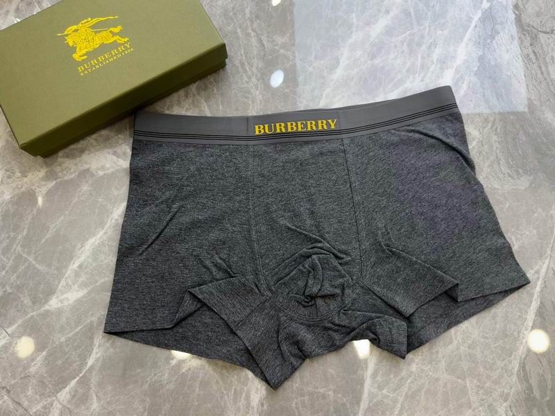 Burberry boxer L-4XL 20 (3)