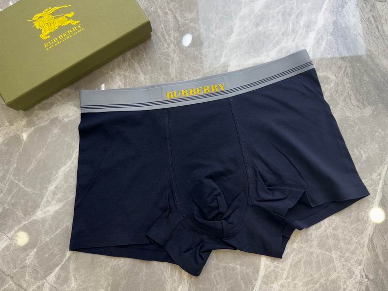 Burberry boxer L-4XL 20 (4)