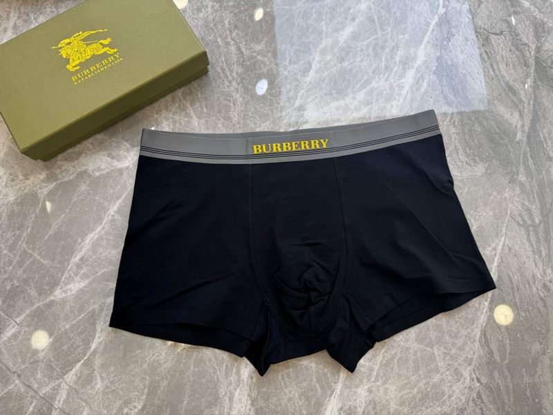 Burberry boxer L-4XL 20 (5)