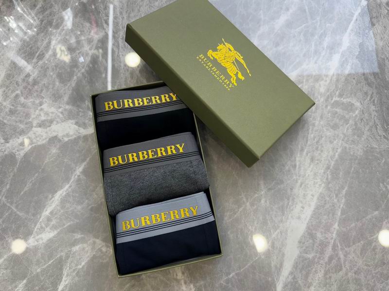 Burberry boxer L-4XL 20 (6)