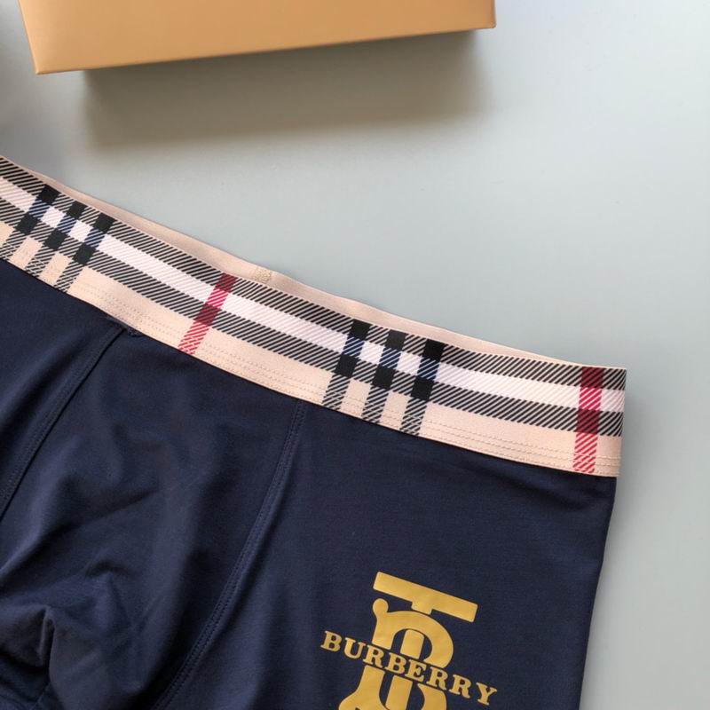 Burberry boxer L-4XL 64 (2)