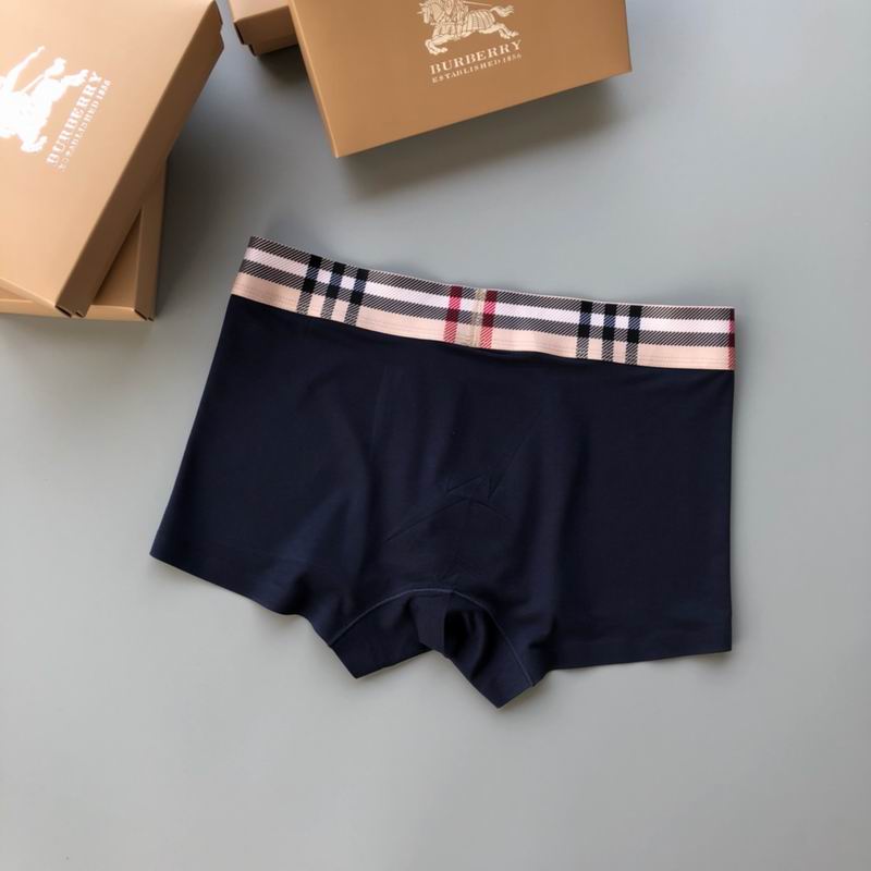 Burberry boxer L-4XL 64 (3)