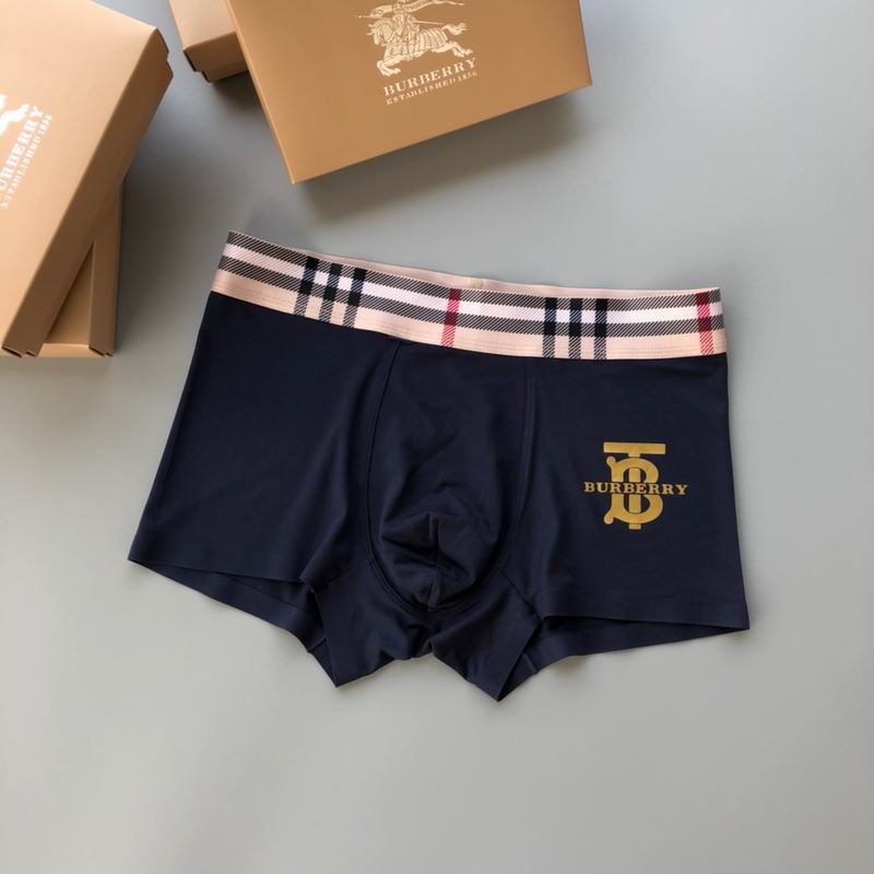 Burberry boxer L-4XL 64 (4)