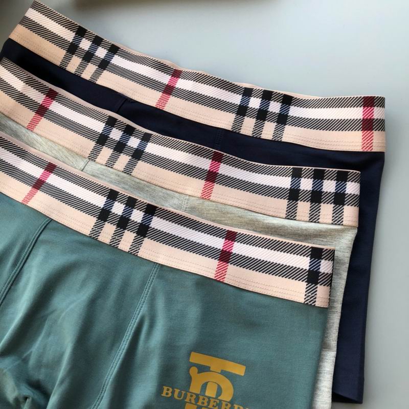 Burberry boxer L-4XL 64 (6)