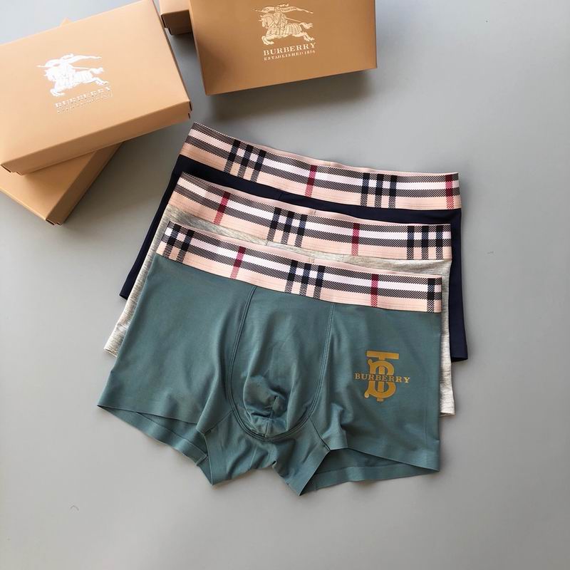 Burberry boxer L-4XL 64 (9)