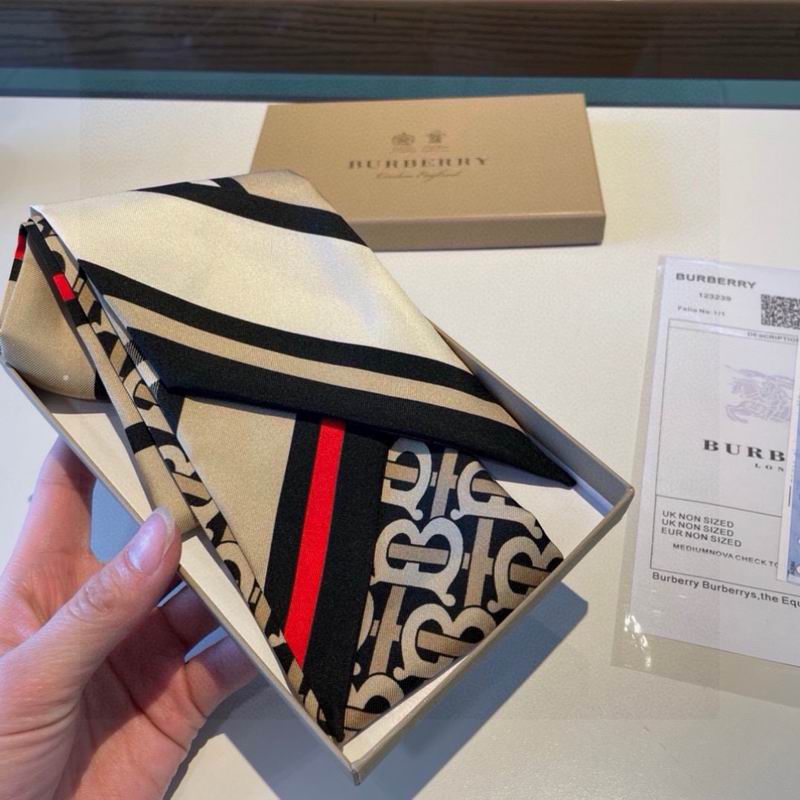 Burberry silk ribbon 8X180cm E01 (5)