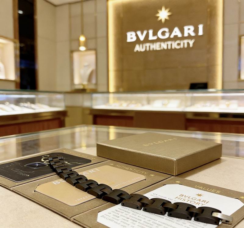 Bvlgari Bracelet 03yxs16 (2)