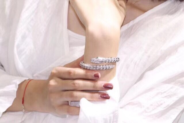Bvlgari Bracelet 03yxs28 (2)