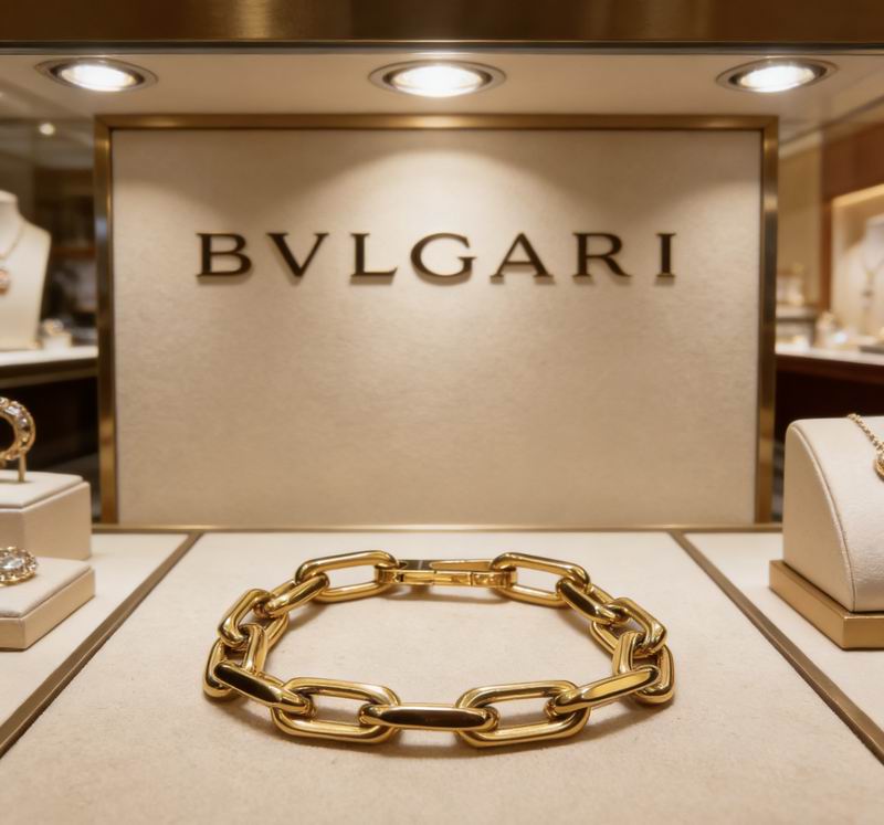 Bvlgari Bracelet 03yxs32 (1)