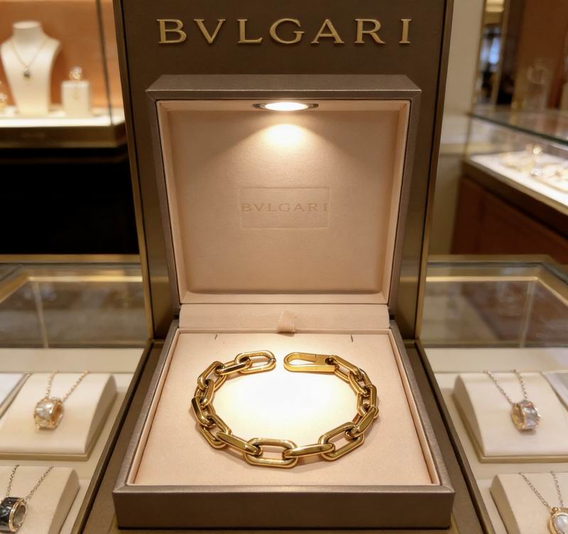 Bvlgari Bracelet 03yxs50 (1)
