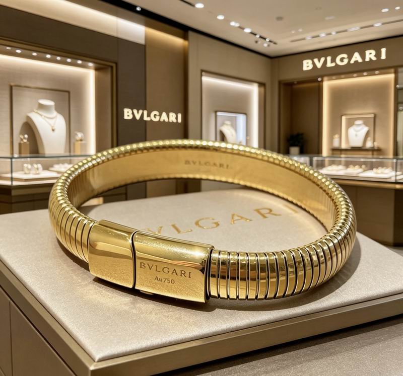 Bvlgari Bracelet 04yxs19 (2)