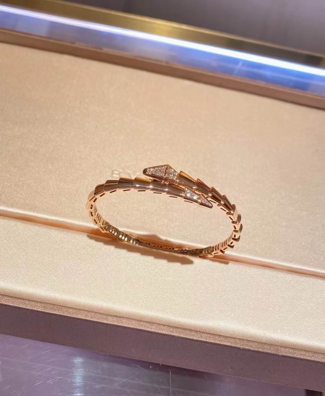 Bvlgari Bracelet 04yxs24 (1)
