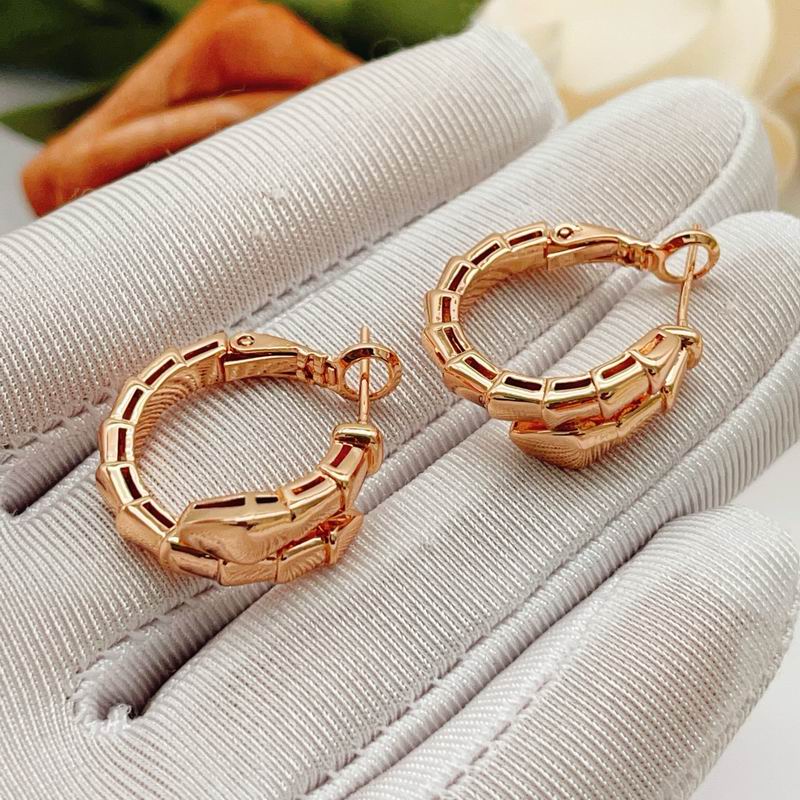 Bvlgari Earring 02yxs02 (10)
