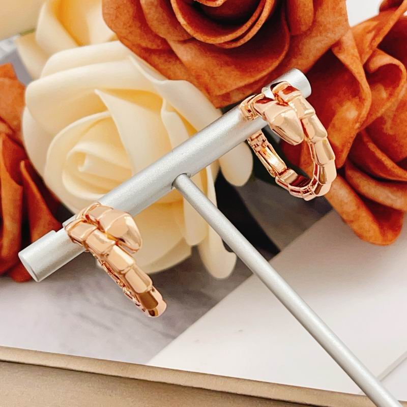 Bvlgari Earring 02yxs02 (11)