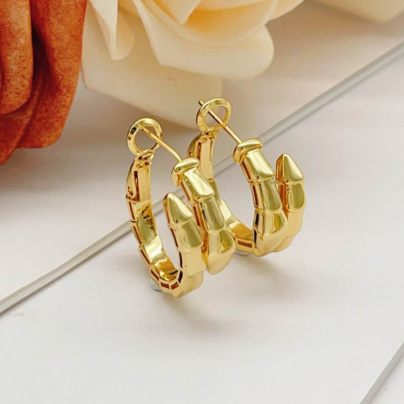 Bvlgari Earring 02yxs02 (15)