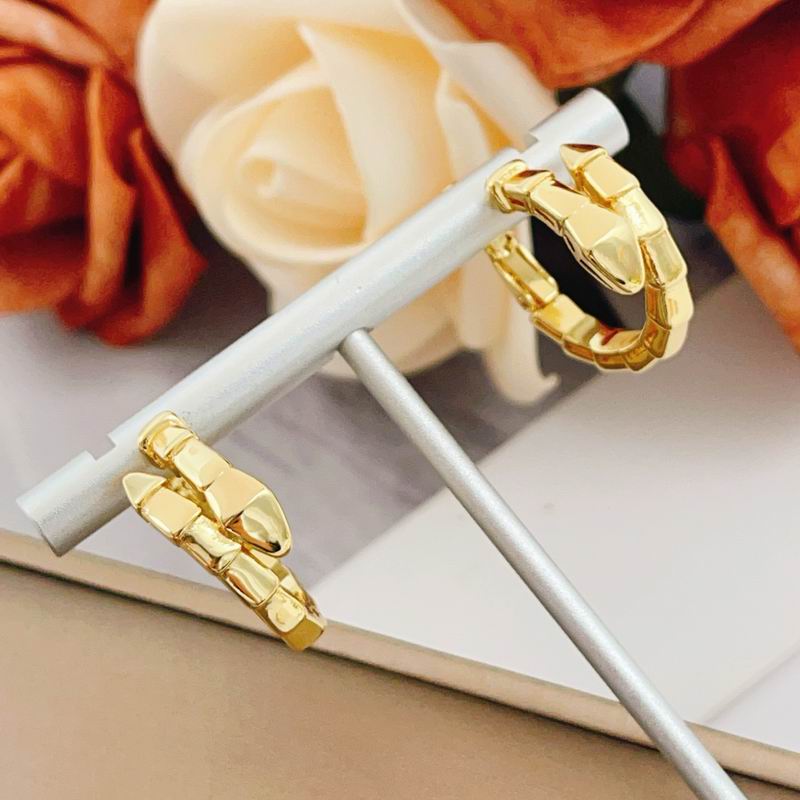 Bvlgari Earring 02yxs02 (16)