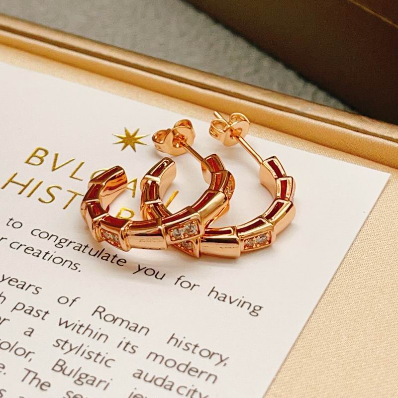 Bvlgari Earring 02yxs03 (6)