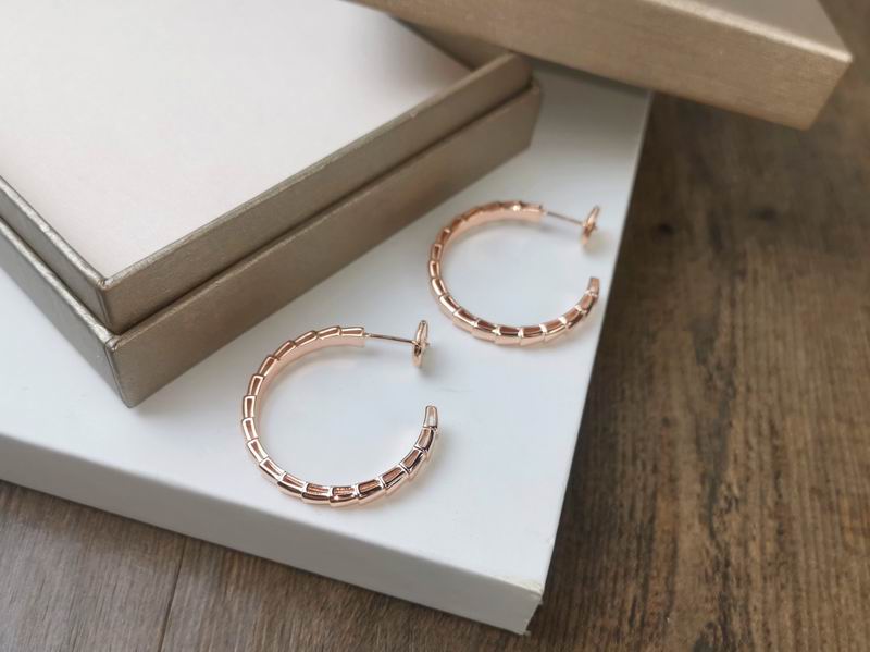 Bvlgari Earring 03yxs22 (5)