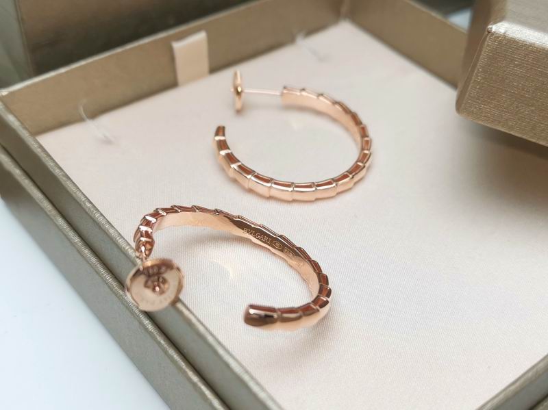 Bvlgari Earring 03yxs22 (8)